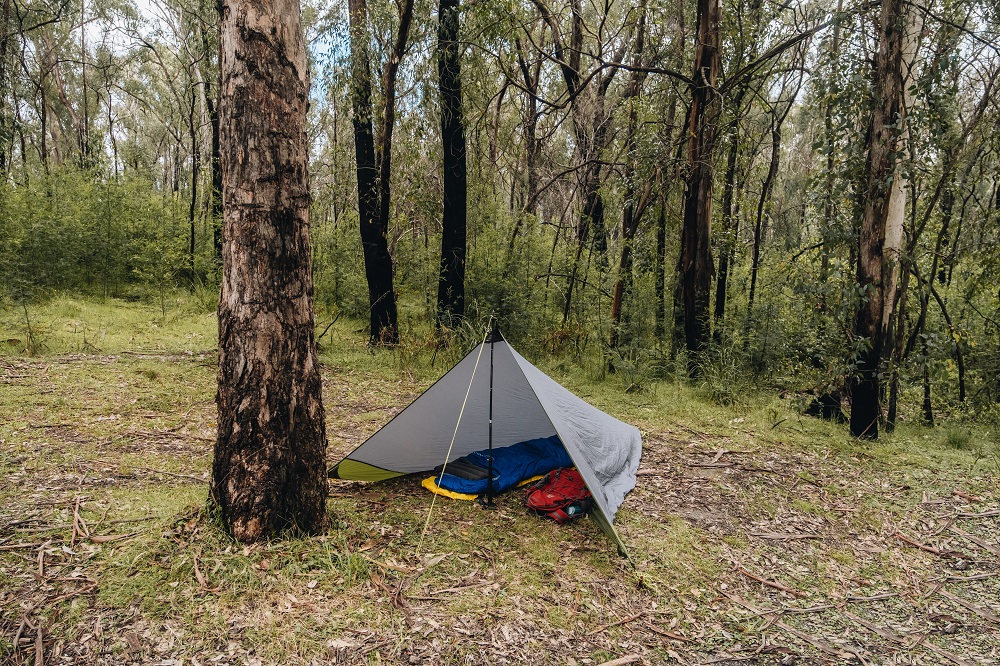 Forest Tent