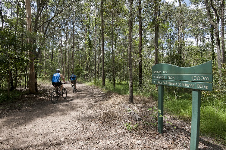 Trails On Mt Coot-tha Trails On Mt Coot-tha