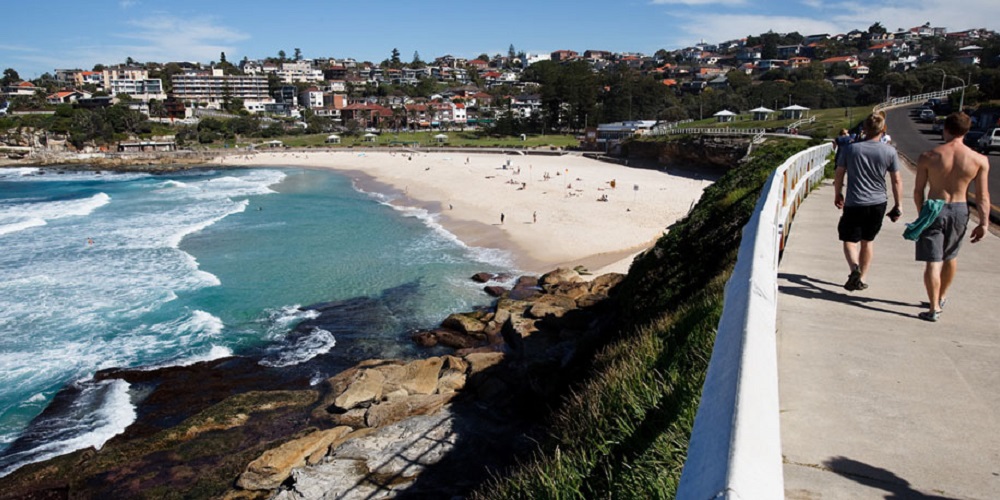 The Bondi To Coogee Walk The Bondi To Coogee Walk