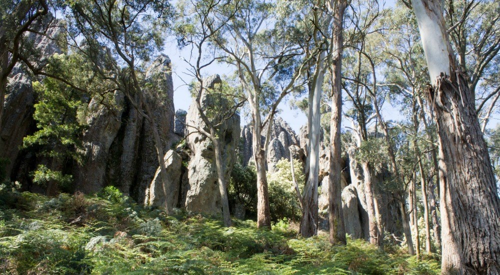 10 Hikes Around Melbourne