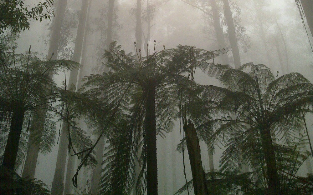 10 Hikes Around Melbourne Mountain Designs A Heritage Born Of 10 Hikes Around Melbourne Mountain Designs A Heritage Born Of