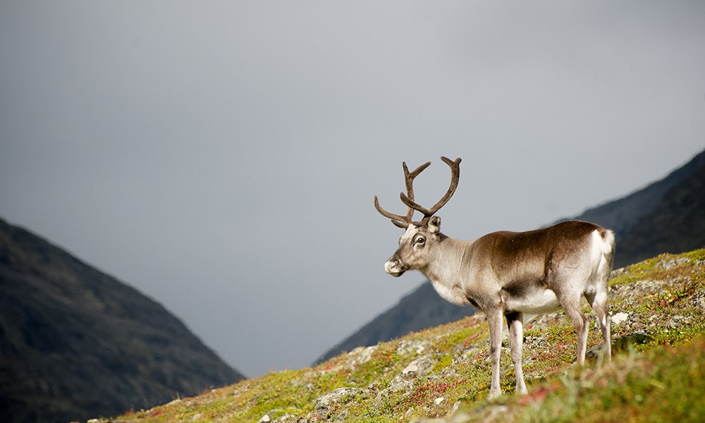 10 Of The Most Incredible Trails In The World 10 Of The Most Incredible Trails In The World
