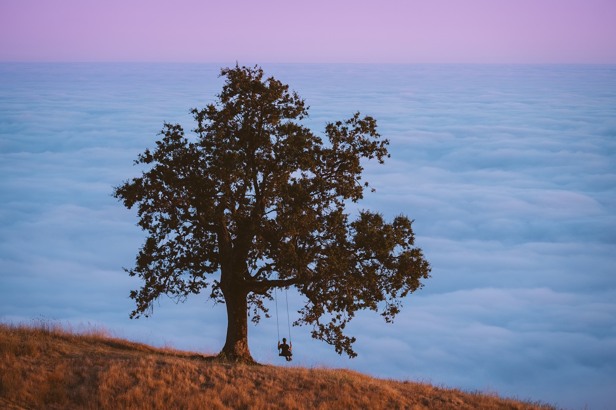 31 Quotes For Inspiring Adventure 31 Quotes For Inspiring Adventure