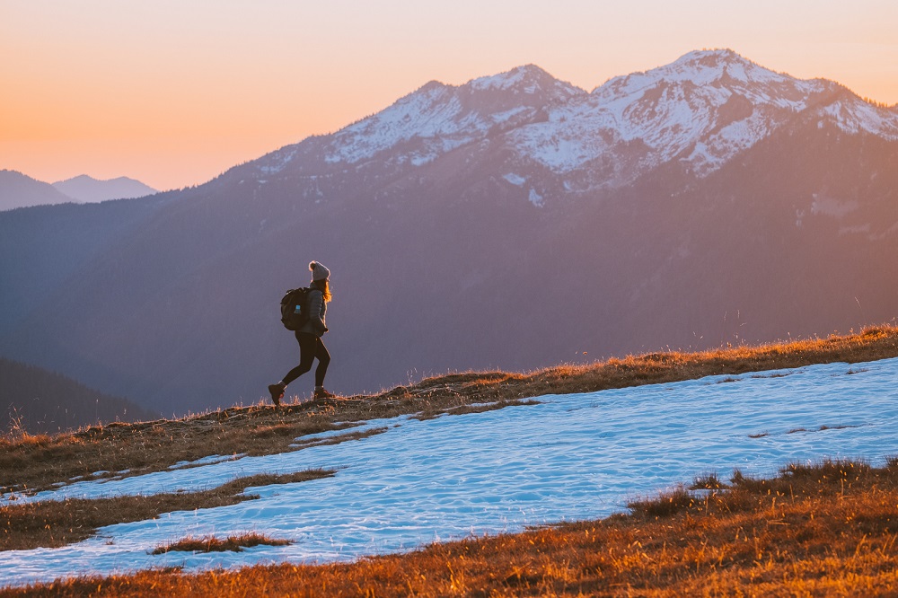A Journey Of A Thousand Miles Begins With A Single Step A Journey Of A Thousand Miles Begins With A Single Step