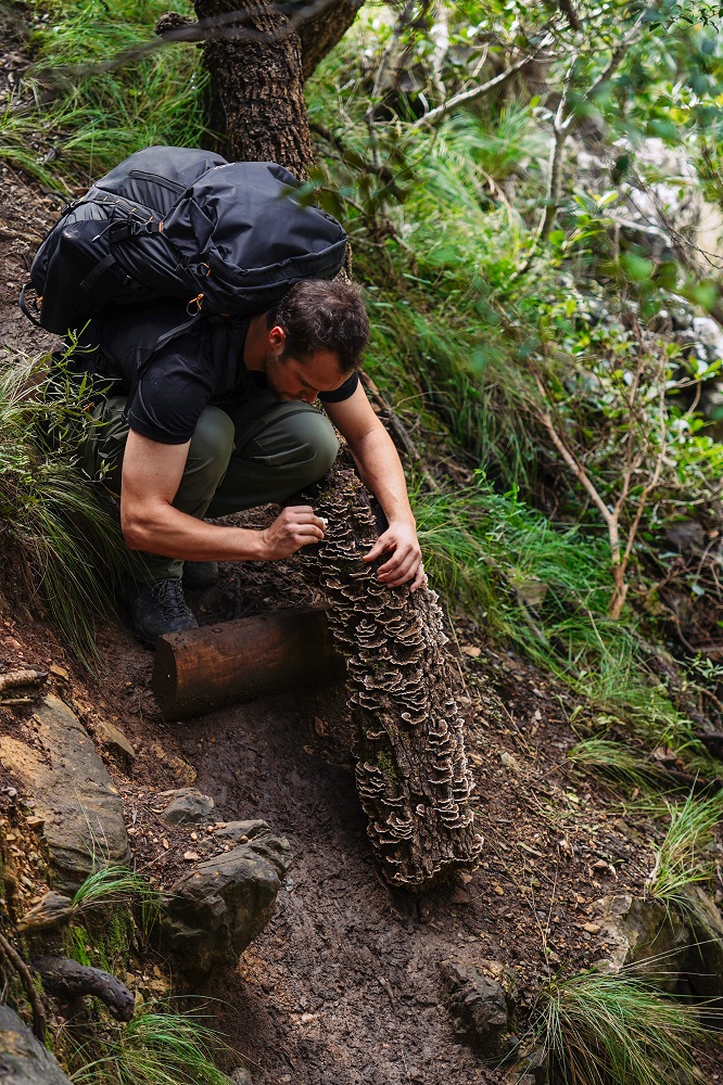 James In His Element James In His Element