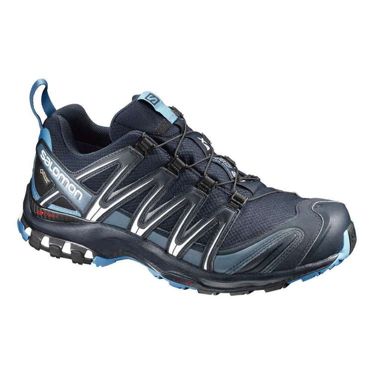 Salomon XA Pro 3D GTX® Shoe Salomon XA Pro 3D GTX Shoe