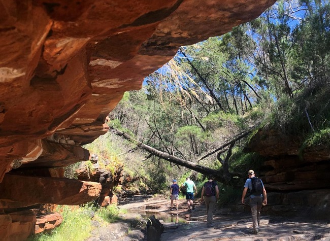 Alligator Gorge In South Australia's Mount Remarkable National Park Alligator Gorge In South Australia's Mount Remarkable National Park