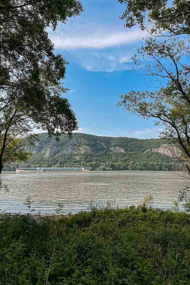 View of the Danube between trees View of the Danube between trees