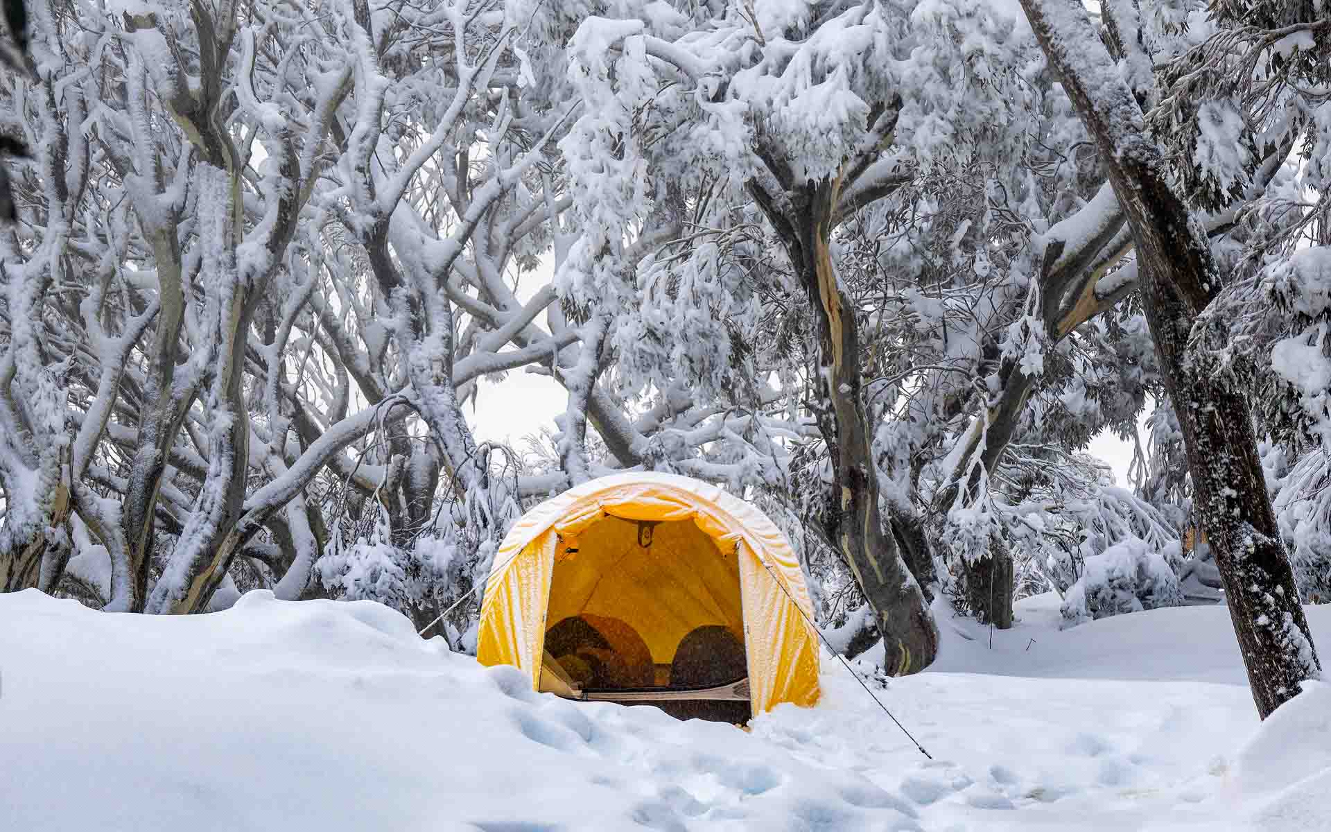 Expedition 2-Person Tent set-up in the snow amongst trees Expedition 2-Person Tent set-up in the snow amongst trees