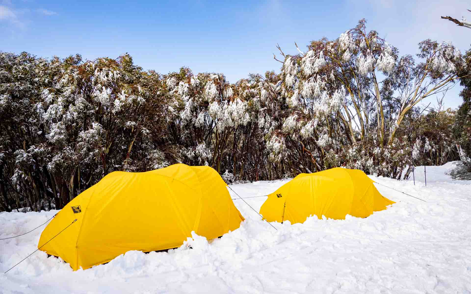 Two Expedition 2-Person Tent set-up in the snow amongst shrubs Two Expedition 2-Person Tent set-up in the snow amongst shrubs