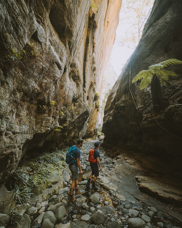 The Walls Of Warrumbah Gorge