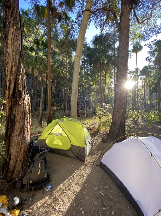 Setting Up Camp Under The Canopy