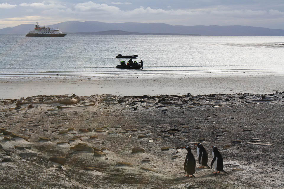 Shores of Antarctica