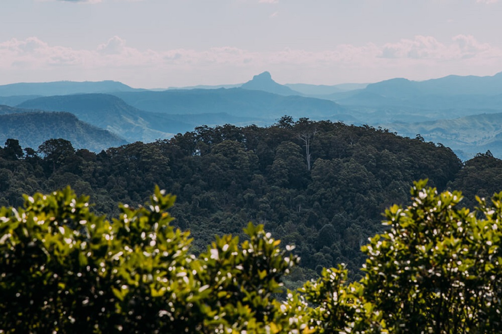 Lamington National Park In South-East Queensland