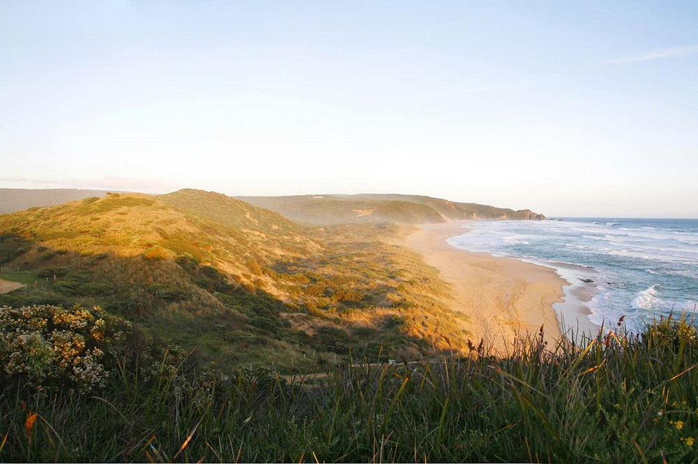 The Great Ocean Walk Piggybacks The Great Ocean Road The Great Ocean Walk Piggybacks The Great Ocean Road