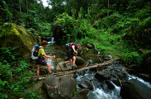 Hiking the Kokoda Trail Hiking the Kokoda Trail