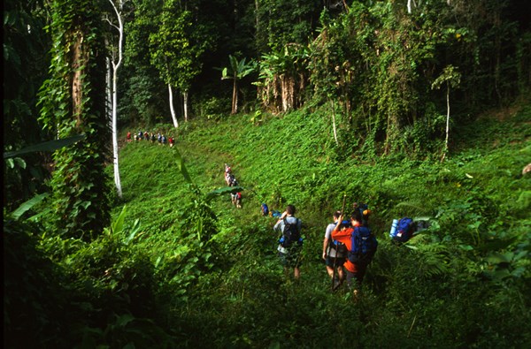 Hiking the Kokoda Trail Hiking the Kokoda Trail