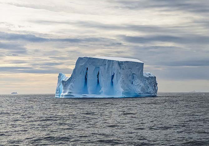 Homeward Bound: An Antarctic Learning