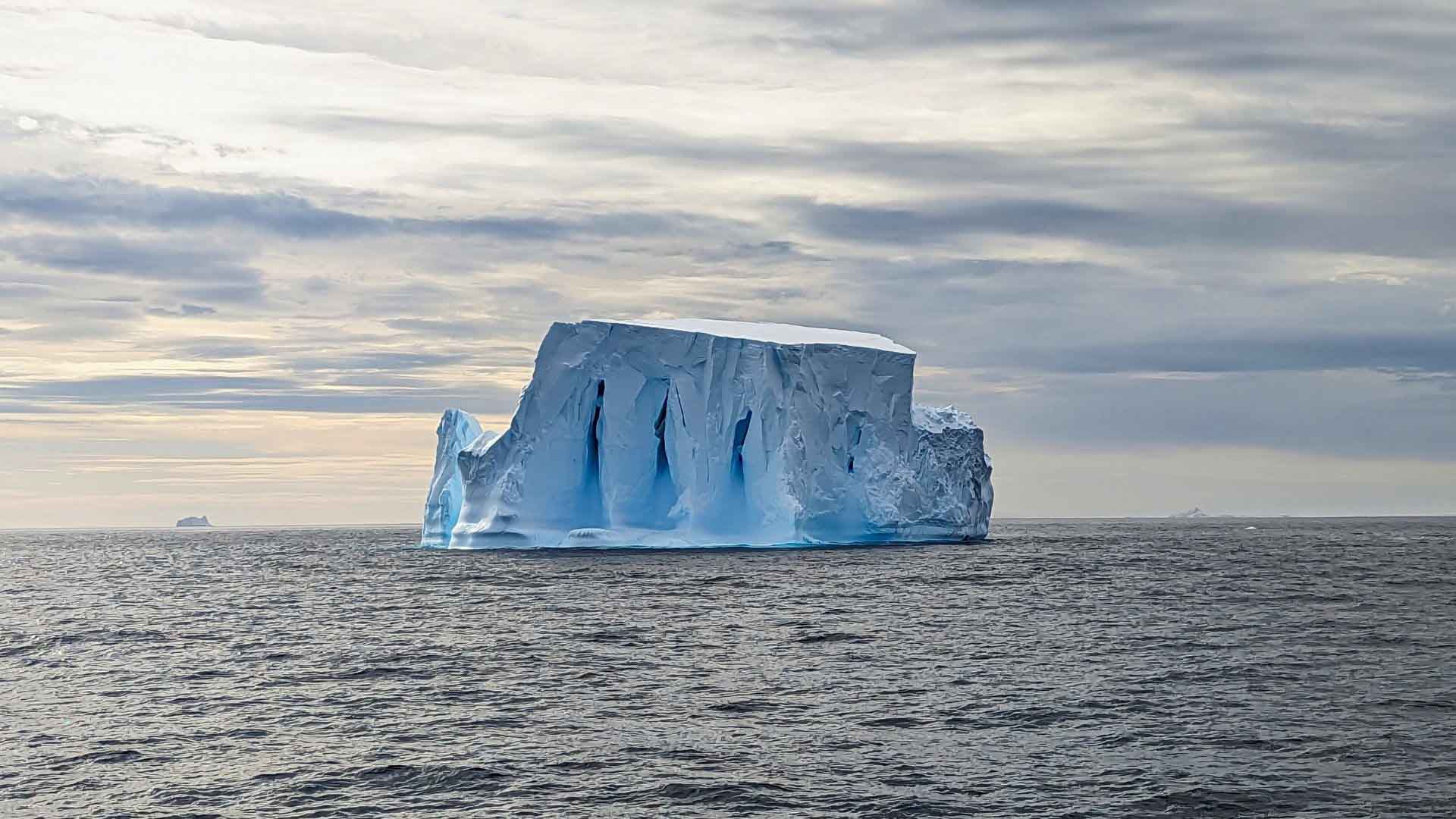 Homeward Bound: An Antarctic Learning