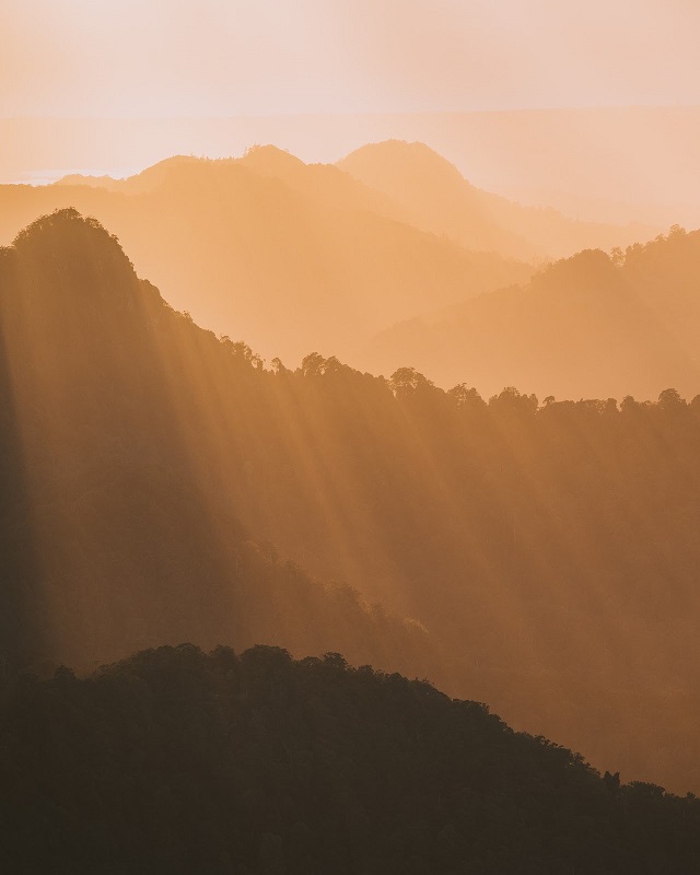 Springbrook National Park