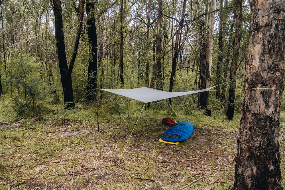 Basic Fly Roof Basic Fly Roof