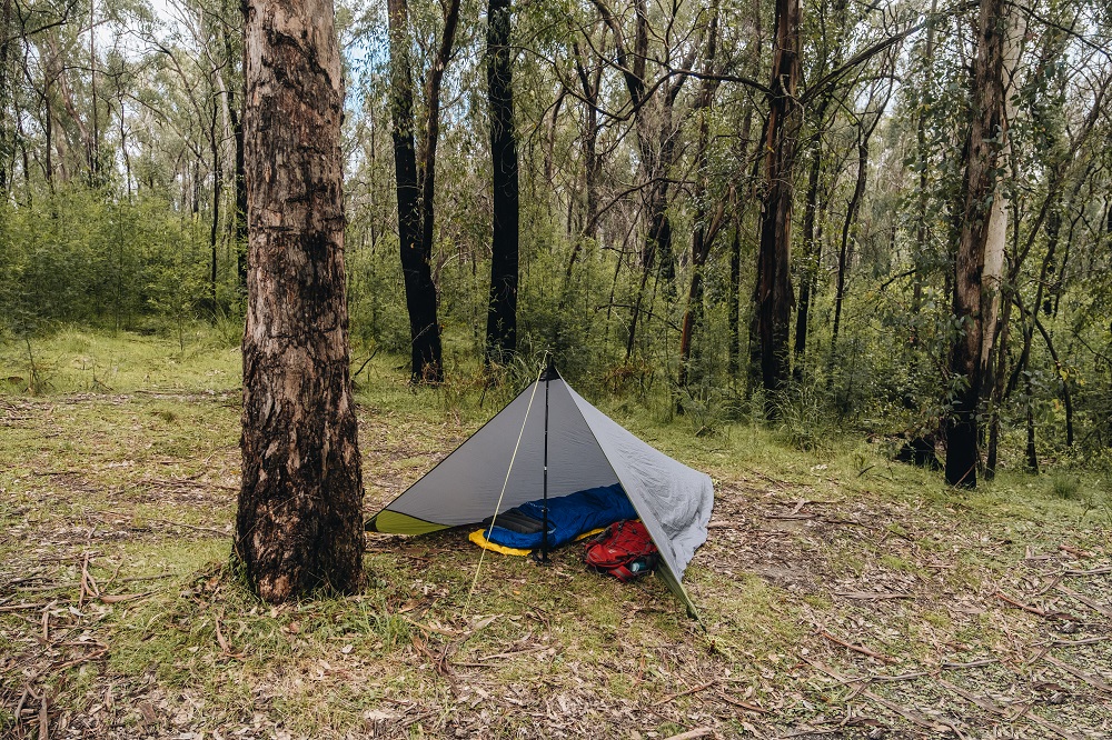 Forest Tent Forest Tent