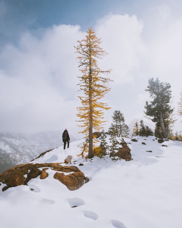 The Journal Vol4 Larch 11 The Journal Vol4 Larch 11