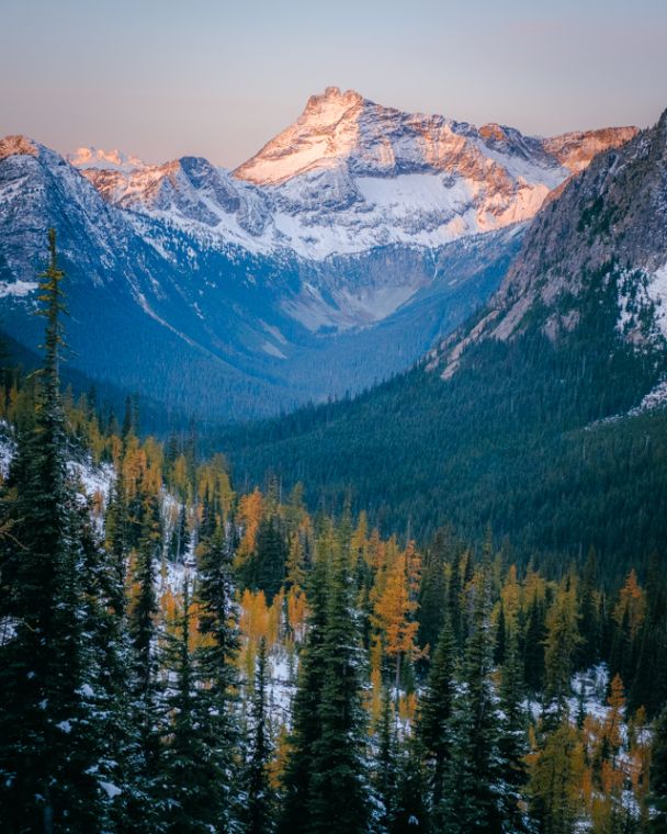 The Journal Vol4 Larch 14 The Journal Vol4 Larch 14