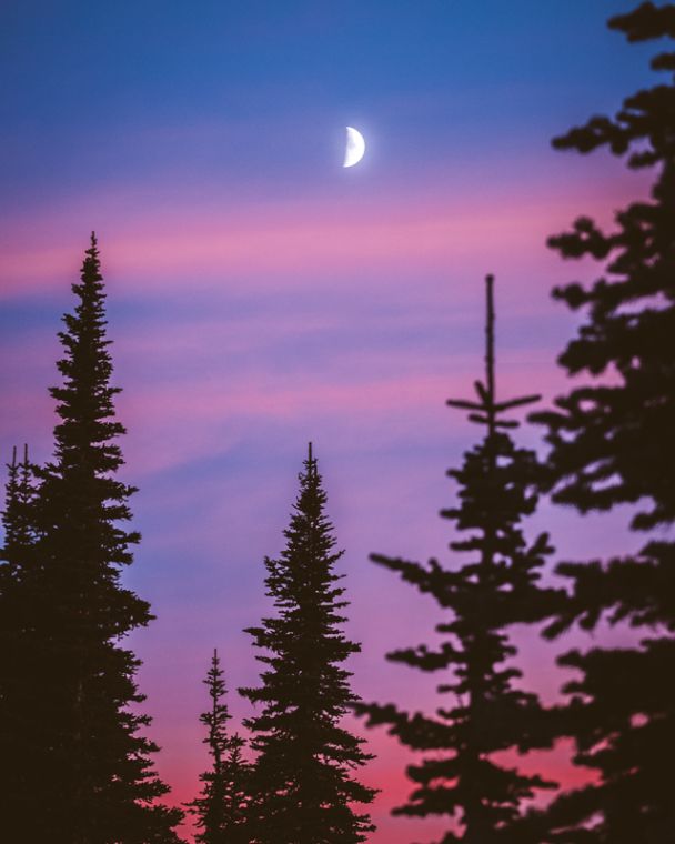 The Journal Vol4 Night 4 The Journal Vol4 Night 4