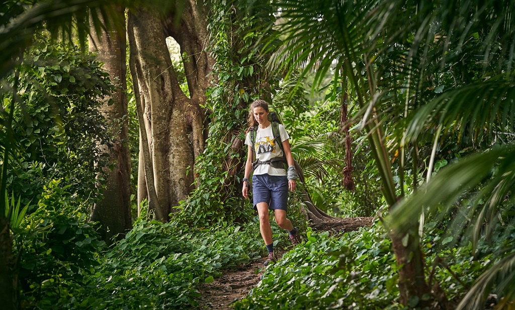 Journey To The Lost World Journey To The Lost World