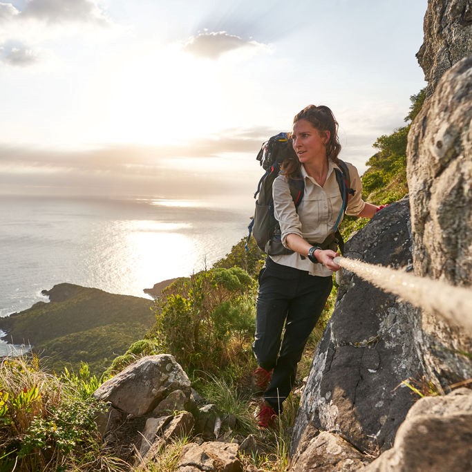 Journey To The Lost World Journey To The Lost World