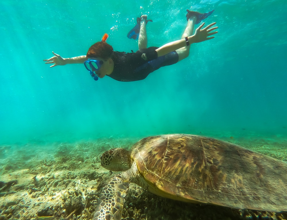 Heron Island, Queensland, Australia Heron Island, Queensland, Australia