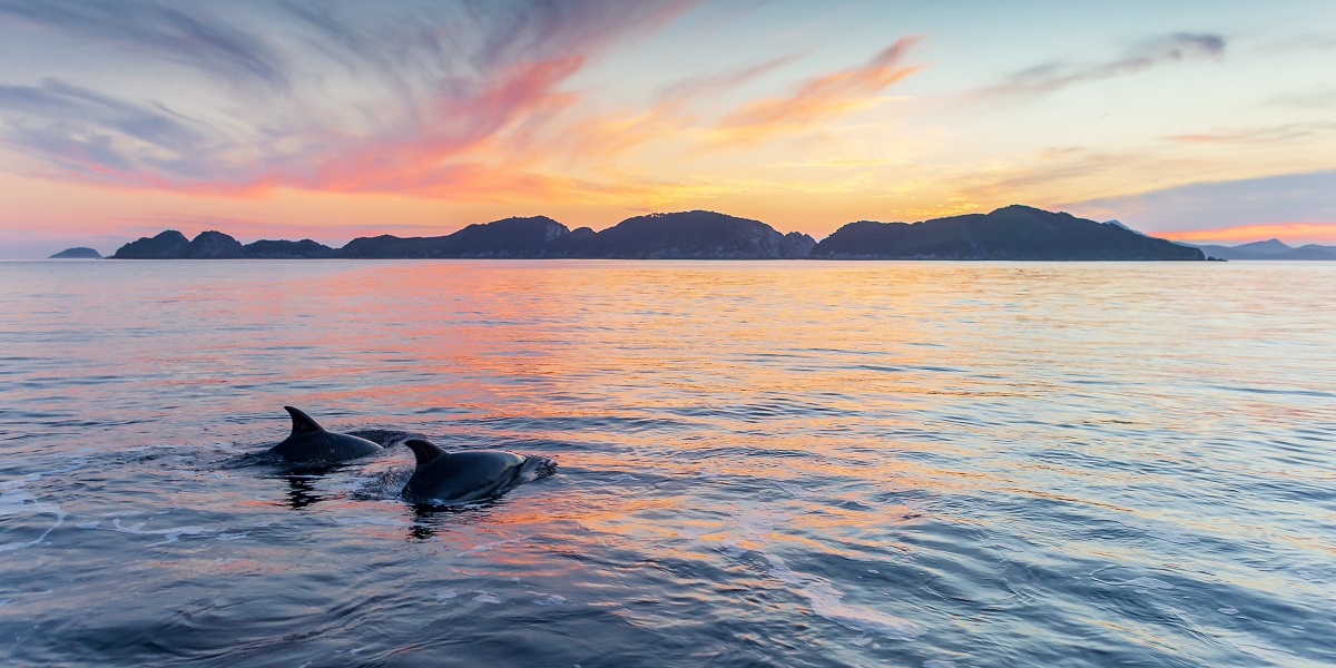 Port Davey, Tasmania, Australia