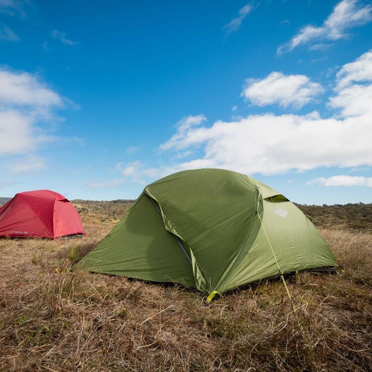 Geo 3-Person Tent Treetop Geo 3-Person Tent Treetop