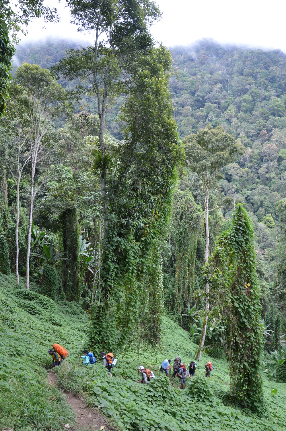 The Kokoda Track is Both A Physical & Mental Journey