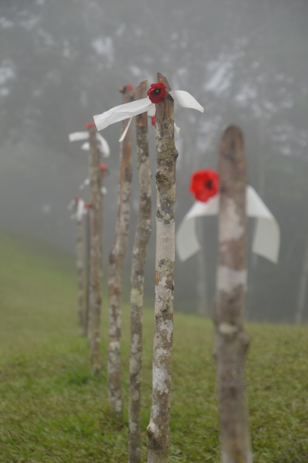 Acknowledge The Importance Of The Kokoda History & What It Signifies Acknowledge The Importance Of The Kokoda History & What It Signifies