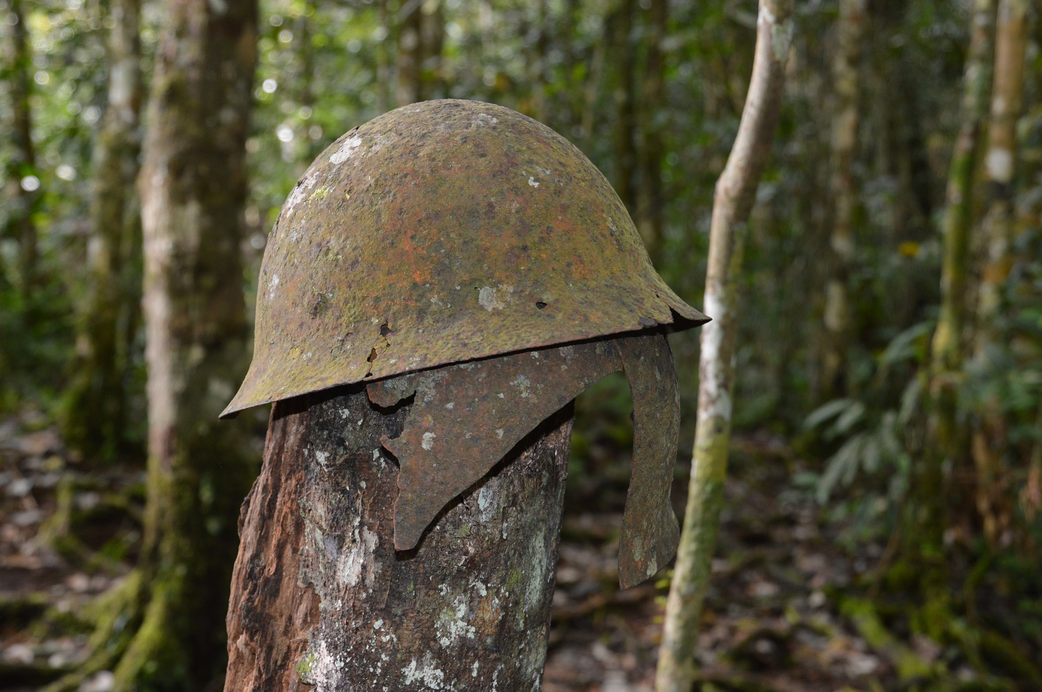 Relics From The Past Can Be Found Along The Kokoda Track