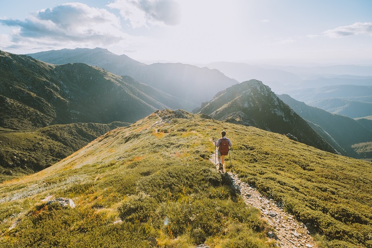 Hiking The Narrow Trail Of The Sentinel Traverse