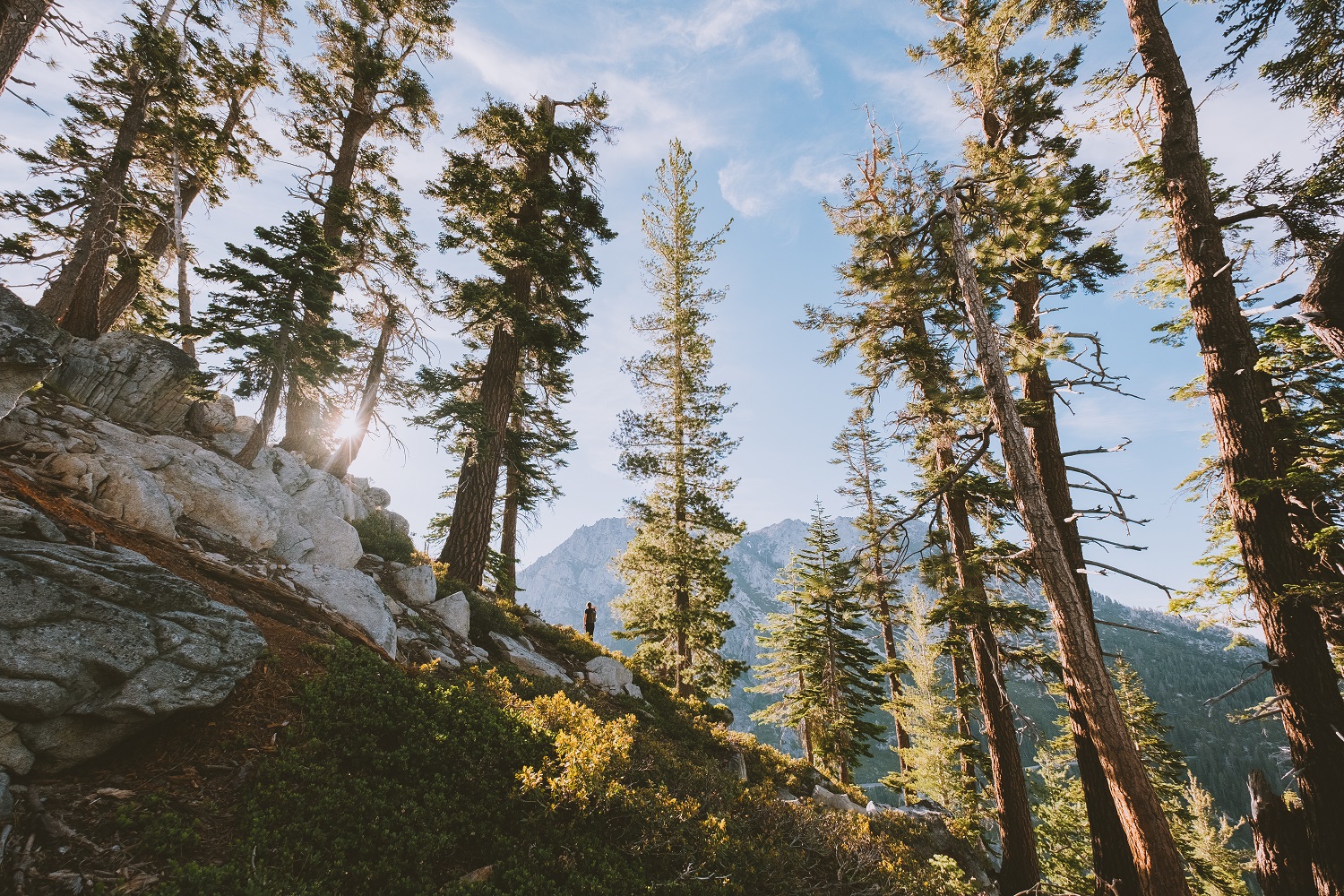 The Journal Vol.1 The Journal Vol.1