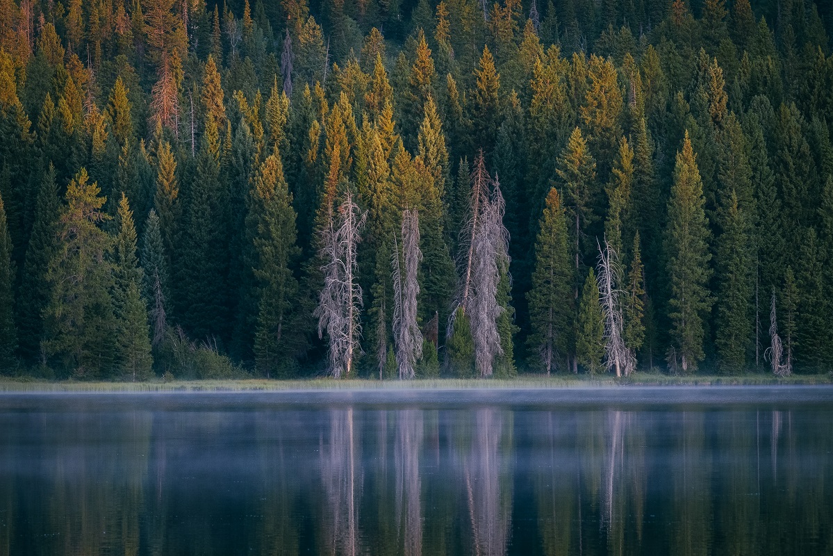 The Journal Vol.3 The Journal Vol.3