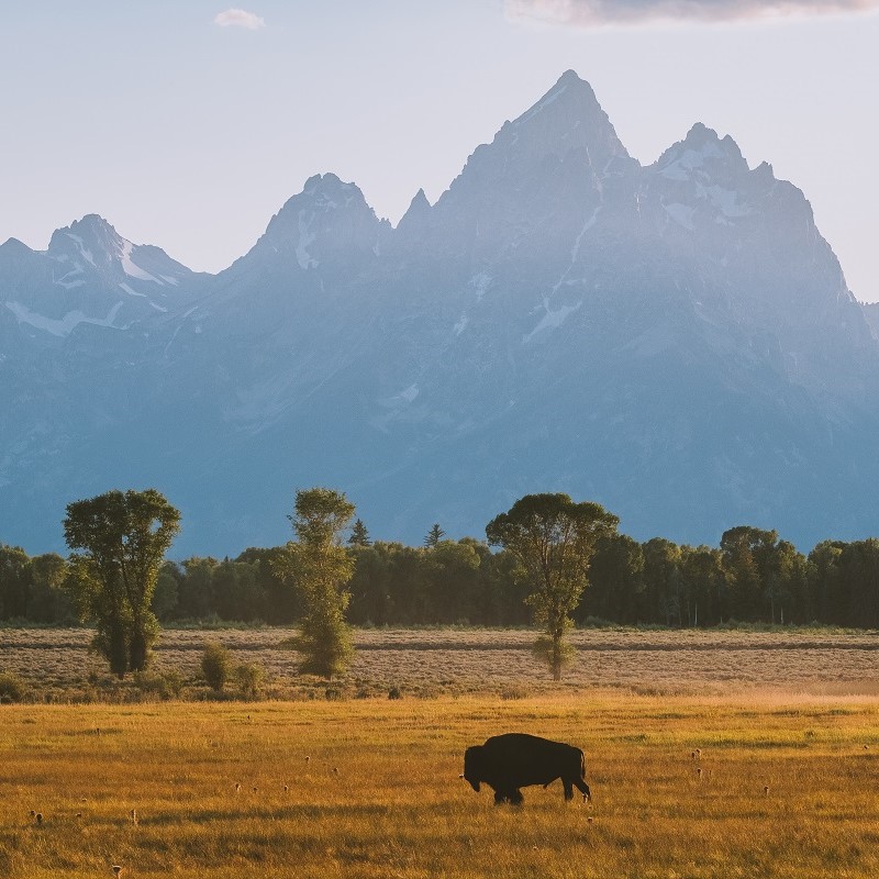 The Journal Vol3 Photo 3 The Journal Vol3 Photo 3