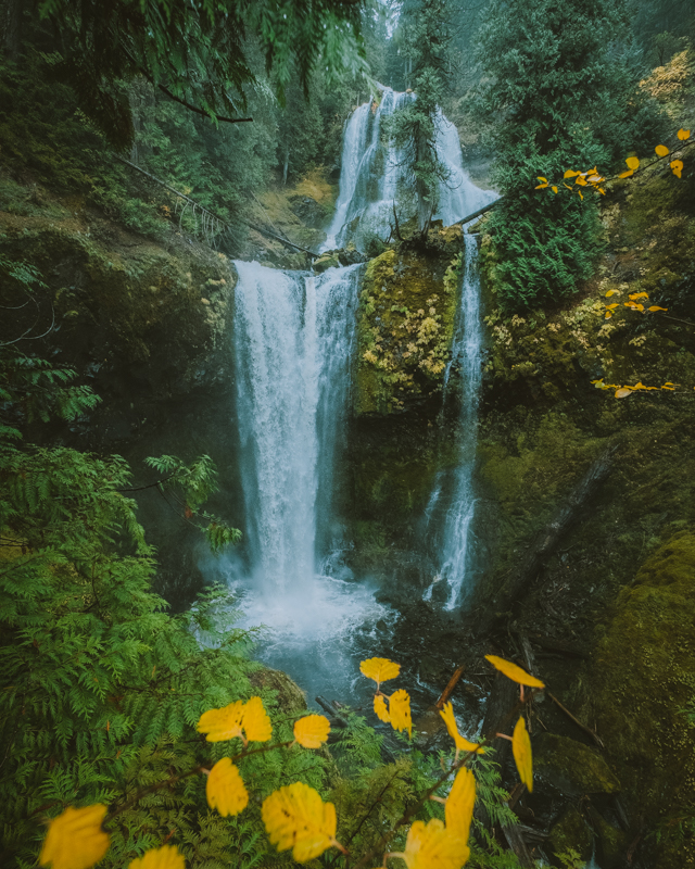 Exploring Falls Creek Falls