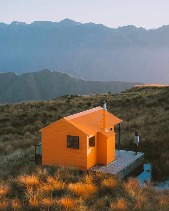 Mount Tasman & Mount Cook Taking Centre Frame