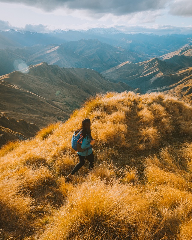 Exploring Local Tracks