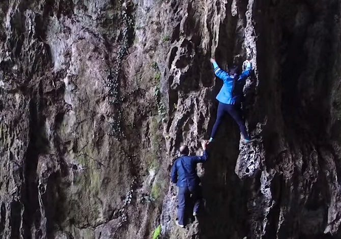 The Spider Climbers Of China