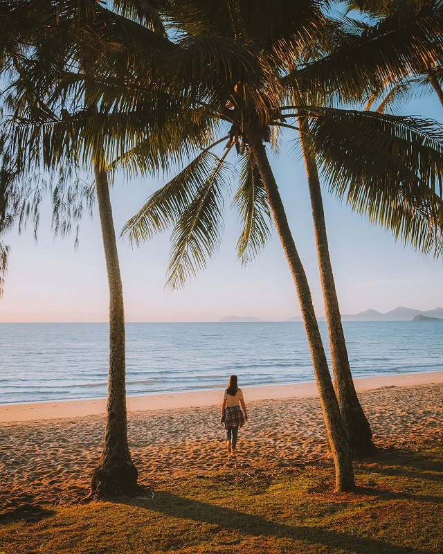 Visiting Palm Cove