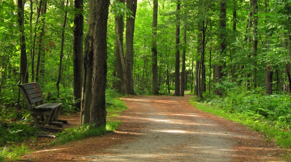 The Worlds Longest Walking Trail