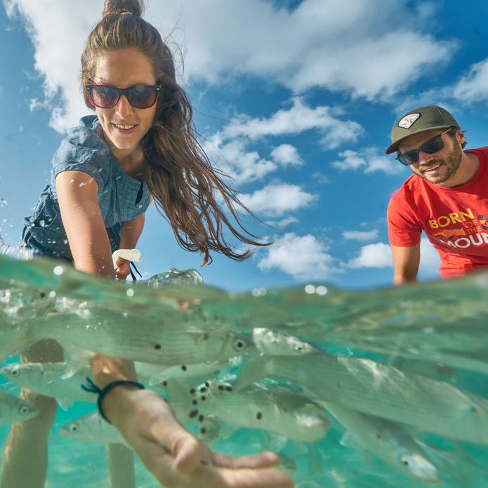 Top 10 Activities - Lord Howe Island