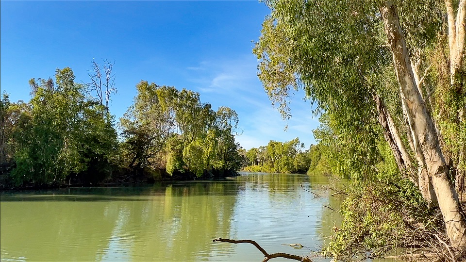 East Alligator River