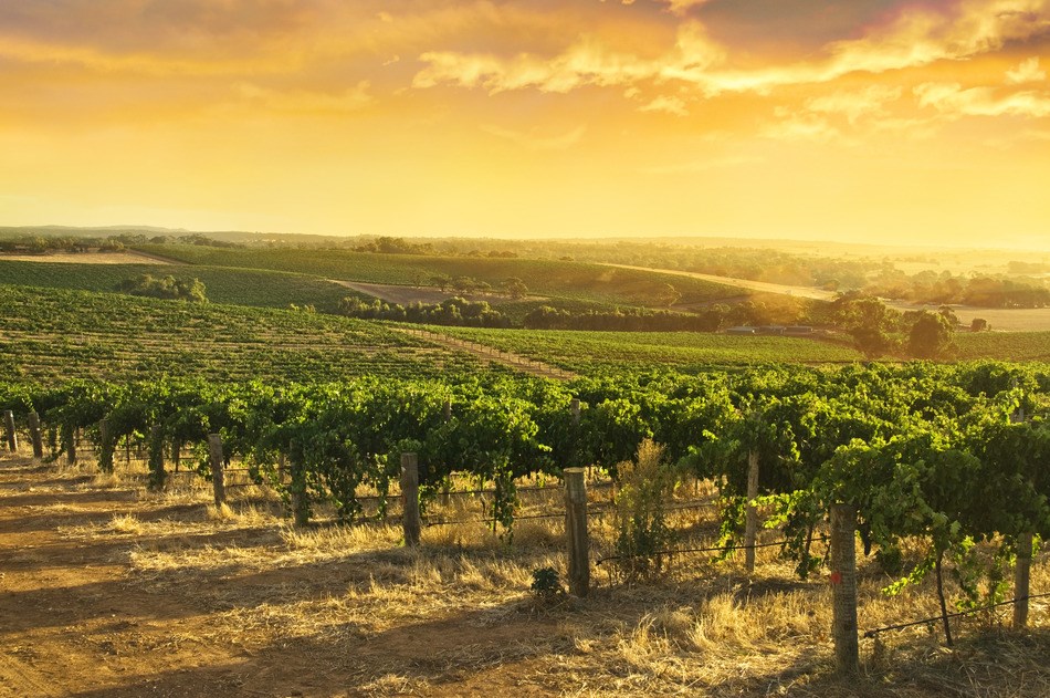 Travelling Around Australia Part 1: Where to Visit Travelling Around Australia Part 1: Where to Visit